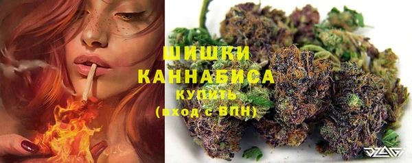гидропоника Володарск