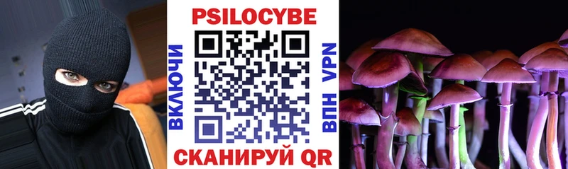 Галлюциногенные грибы мицелий  Купить закладки  Болохово 