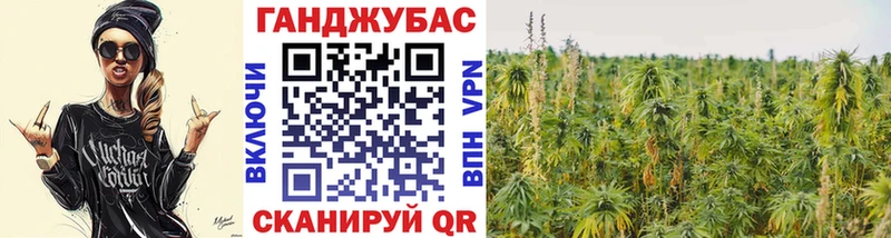 Купить  Болохово  Конопля ГИДРОПОН 